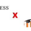 oferecer cursos com o Wordpress